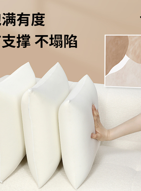 抱枕芯45x45cm内胆芯t抱枕枕芯内芯靠垫芯靠枕芯背填充物沙发客厅