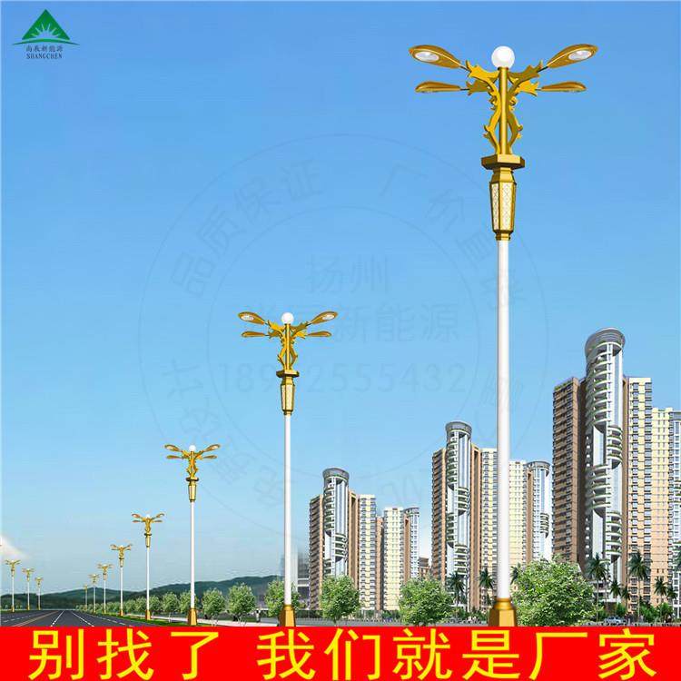 中华灯生产厂家 亮化工程花灯 新款照明路灯 8米中华灯价格,鲜花速递/花卉仿真/绿植园艺,割草机/草坪机,淘宝优惠券,粉丝福利购,淘宝优惠卷