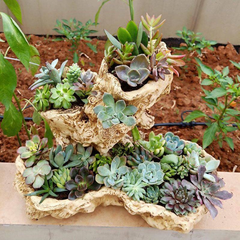 大口径仿木头花盆创意特大号盆办公室树脂庭院高多肉肉发财树花盆