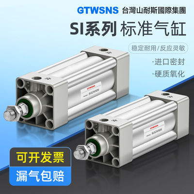 GTWSNS-SI带磁大推力标准气缸
