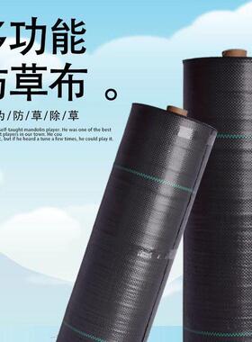 防草布PP100g2米宽新料农用种植大棚编织布果园整卷地布生产厂家
