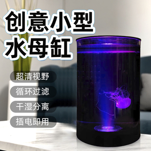 半圆形桌面专业小水母缸鱼缸赤月海月大西洋水母小型观赏水母缸