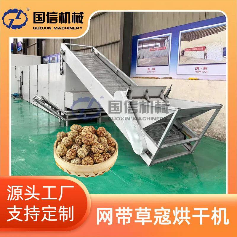大型草豆蔻草蔻仁连续烘干机海南山姜烘干设备网带式草寇烘干机