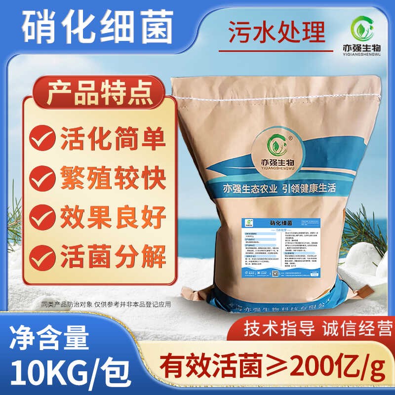 污水处理硝化200亿/克降氨氮亚E盐分解污泥底质除臭净化水质