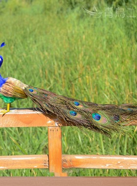 热卖仿真羽毛孔雀家居客厅橱窗装饰摆件工艺品摄影道具彩色小孔雀