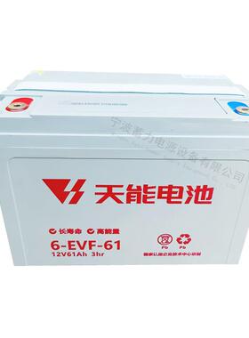 天能6EVF61-3蓄电池台励福龙工中力达西林诺力托盘搬运车叉车电瓶