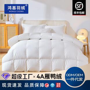 鸿基95白鸭绒羽绒被除粉尘净味处理大朵番鸭绒被加厚红嘴雁鸭绒被