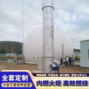 沼气燃烧火炬低氮养殖场污水应急处理内燃式沼气火炬系统工业环保