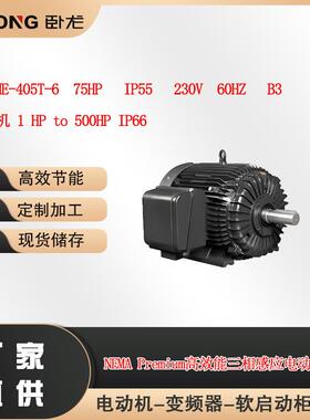 卧龙尼玛NSHE-405T-675HPIP55460V60HZ出口电机