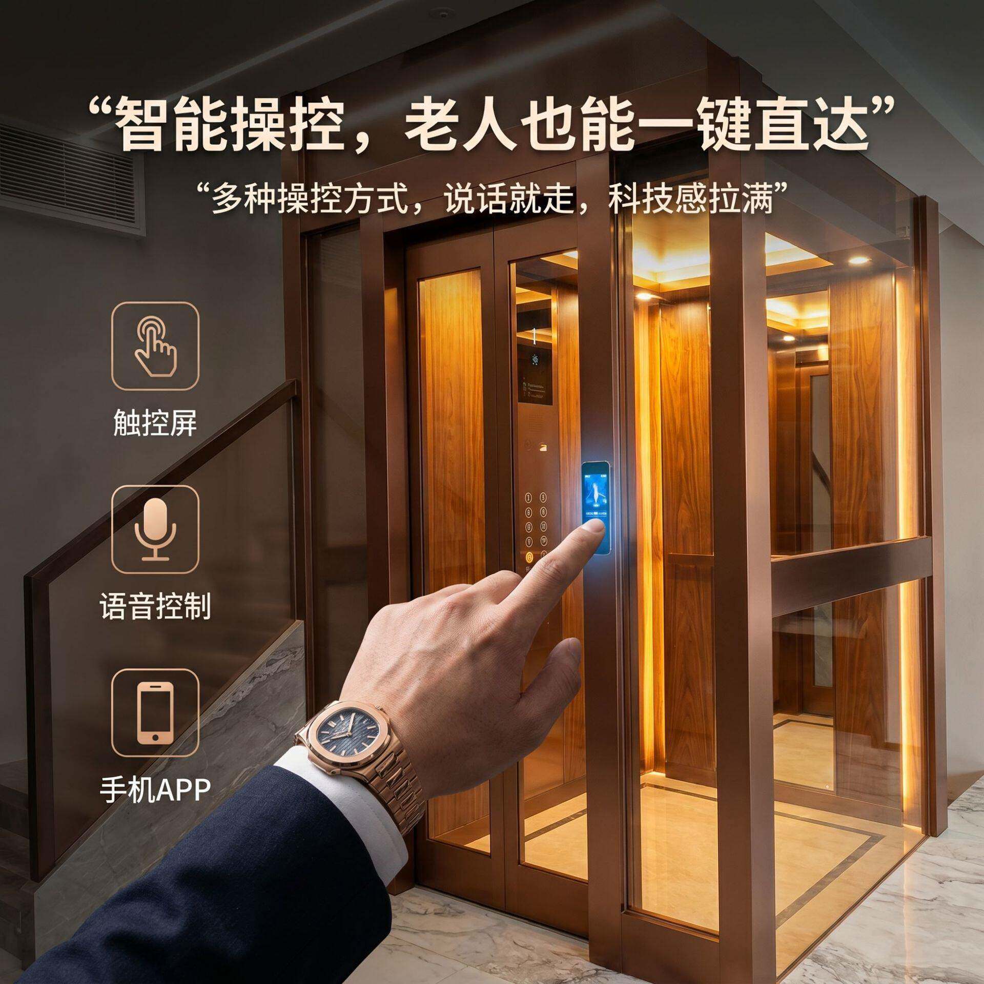 家用电梯别墅电梯自建房二三四五层小型液压曳引无机房家用电梯