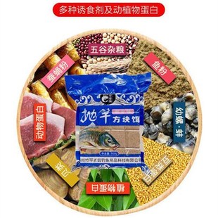 扬州竹竿老翁方块饵抛竿鲢鳙腥臭饵料翻板钩饵腥香饼干800*0包