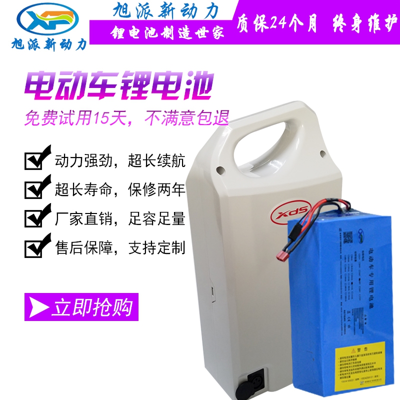 48V10AH电动车锂电池 豹子款2C3C4C5C传说1S2S4S5S专用电池