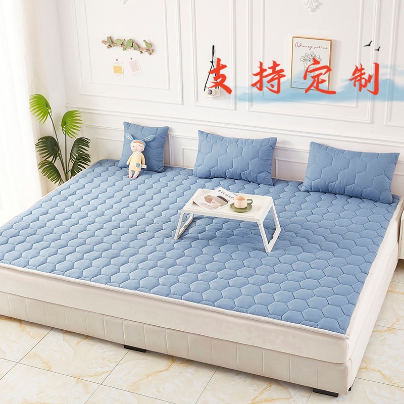 新款榻榻米专用床垫四季通用床z褥子地炕垫打地舖加厚防滑可定制