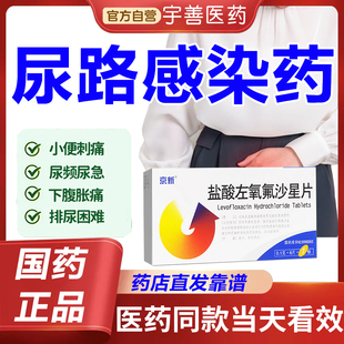 尿路感染前列腺炎盐酸左氧氟沙星胶囊特男女效药细菌感染消炎药R