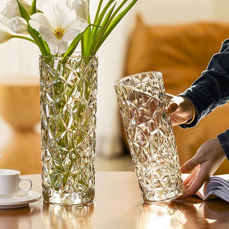 花瓶摆件客厅f插花大玻璃透明水养玫瑰高级感鲜花轻奢圆柱网红水