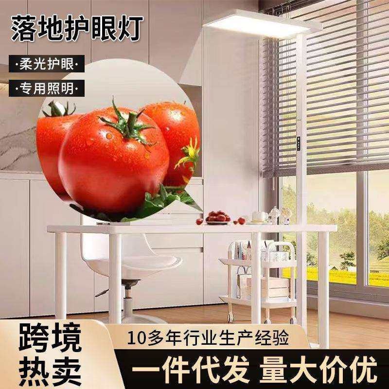 学生阅读学习专用护眼灯极简风家用立式落地台灯自然光触屏照明灯