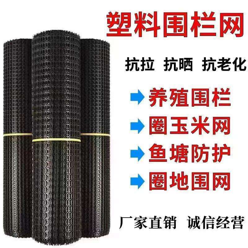 塑料围栏网鱼塘果园养殖防护菜园栅栏户外家用拦鸡圈玉米围栏胶网