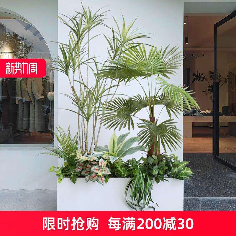 大型花箱植物隔断造景摆件仿真龟背散尾葵绿植树遮挡仿生盆栽景