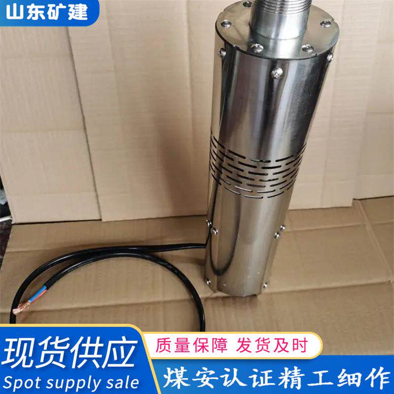 现货直销便携式直流水泵 潜水泵车载抽油泵 直流加油泵 直流水泵
