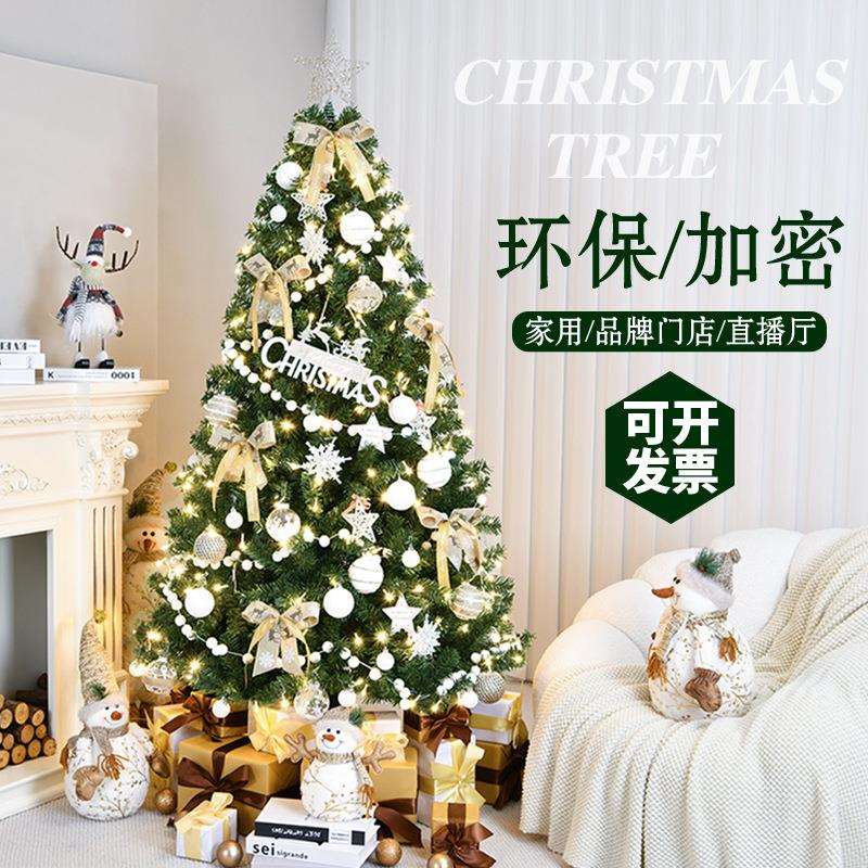 仿真绿色圣诞树家用豪华加密套餐圣诞节装饰PVC仿真树橱窗装饰品
