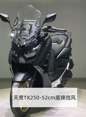 适合天鹰TX250标准版挡风后视镜前移可升降风挡加高加厚送平衡杆