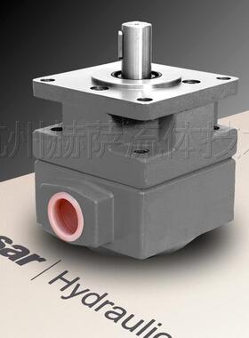 YB1-100/YBD-100 油泵 杭机平面磨床配件 仙居液压件