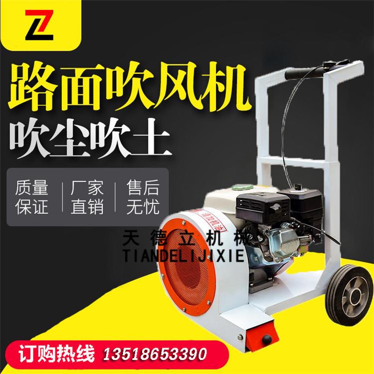 天德立CFJ-160型手推式公路吹尘机 路面树叶灰尘吹扫机公路除尘机