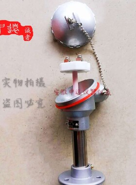 WRP-320铂铑热电偶S型/B型/R型99刚玉管耐高温0-1600度温度传感器
