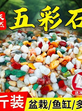 天然雨花石净水鱼缸底砂火山石造景五彩石头装饰大匠神彩彩色石子