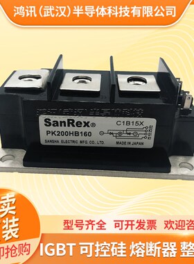 三社可控硅模块PK40F160 PK55FG160 PK110F-160 PK200HB160晶闸管