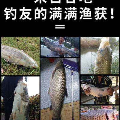 大物线组成品钓鱼线主线套装全套青鱼巨物绑好6.3/7.2/8.1/9/10米