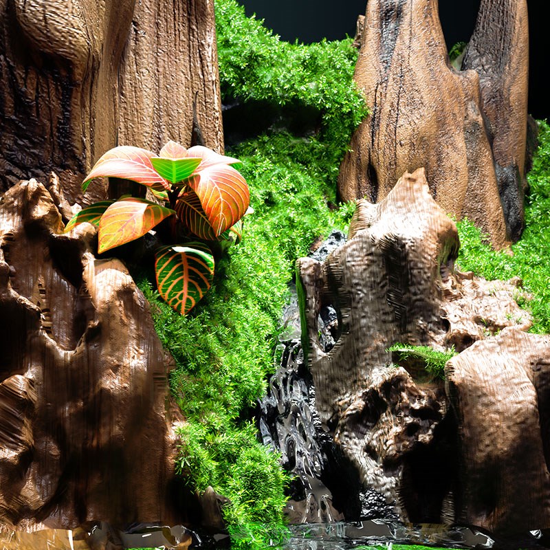 小鱼缸客厅2024新款p生态造景全套小型斗鱼超白桌面雨林水陆玻璃