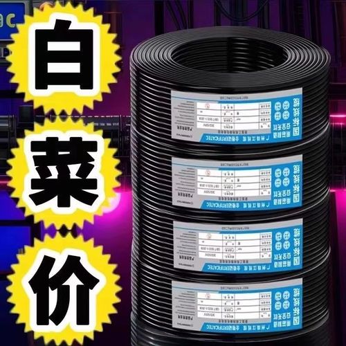 国标电线双芯电缆线1.5/2.5/4/6平方2芯大X功率户外软线