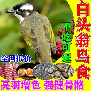 白头翁鸟食白头鹎饲料鹎类营养粮红耳红臀中国T相思幼鸟通用粮