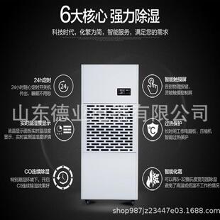 济南送货上门德业DY A配电房车间仓库工业除湿机适用排湿 6240