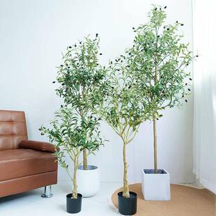 仿真橄榄树仿真植物假绿植假树室内落地绿植软装装饰假植物