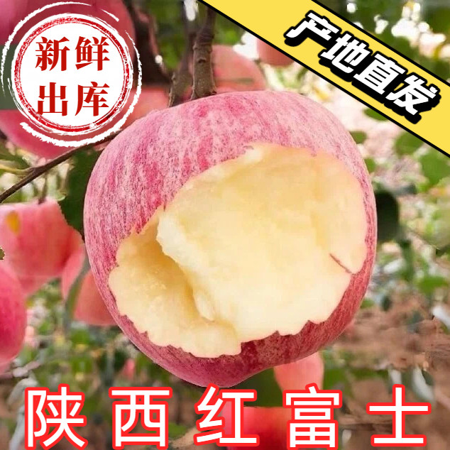正宗陕西红富士苹果新鲜水果洛川苹果当季精选10斤整箱装新鲜苹果,水产肉类/新鲜蔬果/熟食,苹果,淘宝优惠券,粉丝福利购,淘宝优惠卷