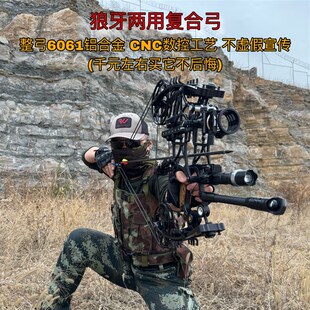 狼牙烈火两用复合钢短轴恶棍射合金打弓珠射箭钛鱼非牛头精灵S1