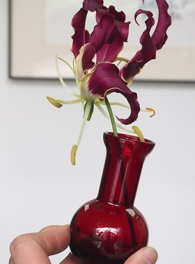 双子商店 创意可爱桌面迷你玻璃小花瓶 K暗红色烟囱漏斗插花花器