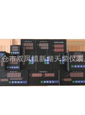 NPXM-2011P0智能数字显示仪表160*80带报警液位控制器220V供电