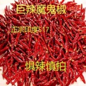 S17印度魔鬼辣超辣魔鬼椒段辣椒段巨辣微辣干辣椒变态辣椒批发价