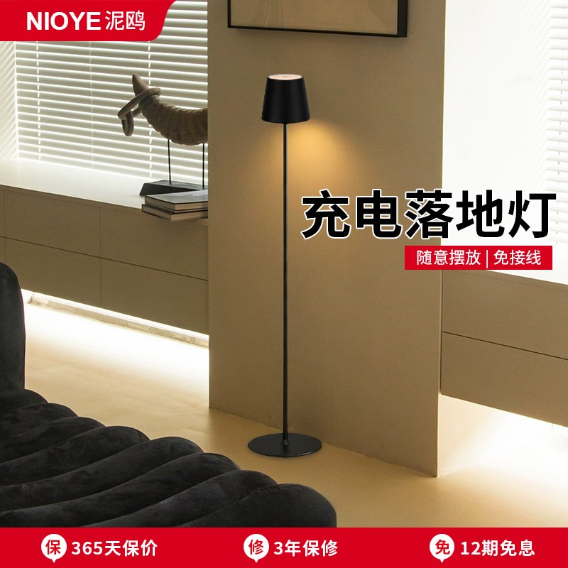 充电落地灯客厅沙发o旁边轻奢高级感立式装饰卧室床头氛围落地台