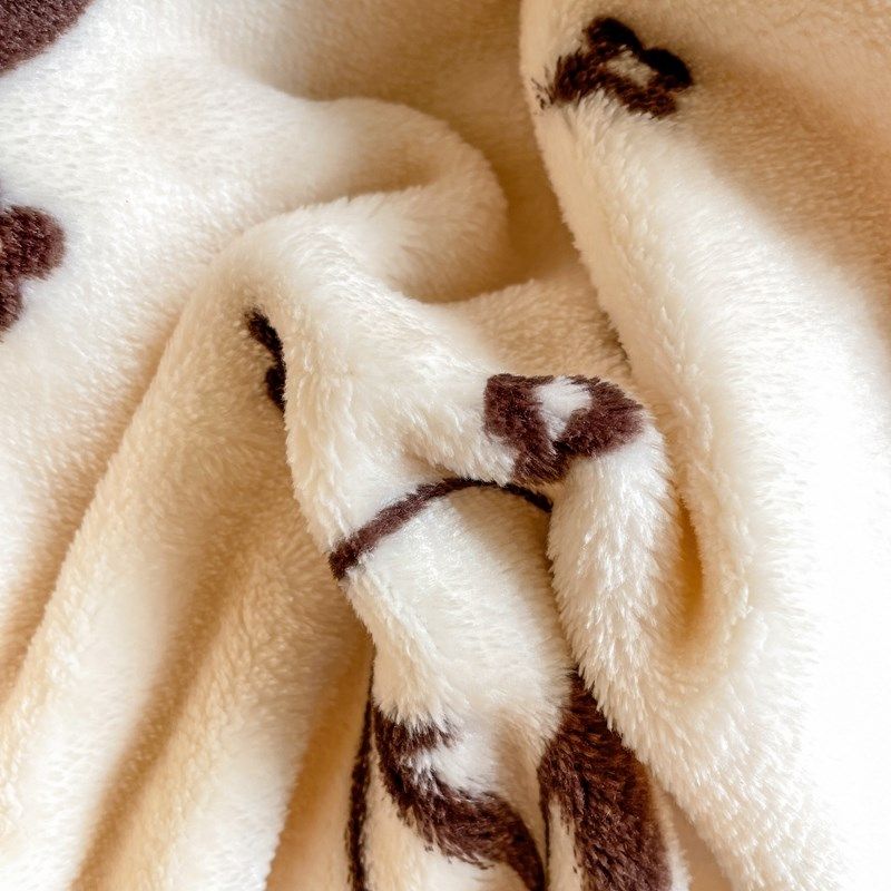 卡通珊瑚绒毛毯被子冬季加厚盖毯床单宿舍单人可爱双面云貂绒毯子