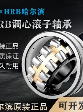 哈尔滨22205 22206 22207 22208 22209 22210CA/CC调心滚子轴承