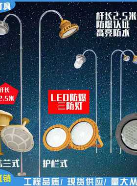 防爆led三防灯工厂车间仓库厂房防水防腐免维护2.5米立杆平台灯