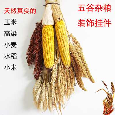 农家乐装饰玉米挂件麦穗干花五谷装饰摆件