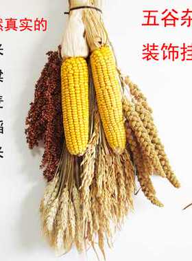 农家乐装饰玉米挂件麦穗干花五谷杂粮田园农作物装扮小庭院幼儿园