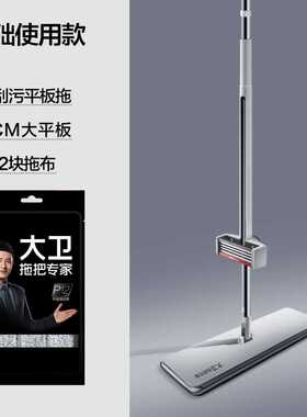 大.卫拖把家用干湿两用一拖净免手洗平板拖把懒人升级款P12-2
