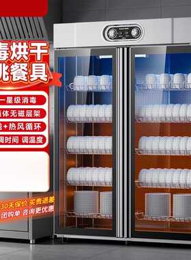 商用立式消毒柜大容量餐饮食堂双门多功能烘干一体消毒碗柜