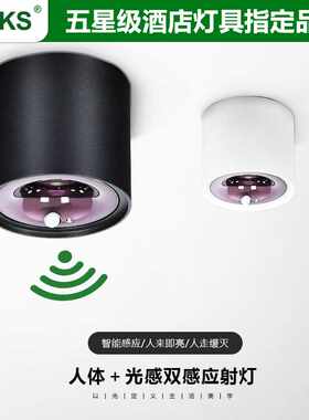 三棵松感应灯人体感应嵌入式天花灯入户门过道阳台玄关智能光控灯